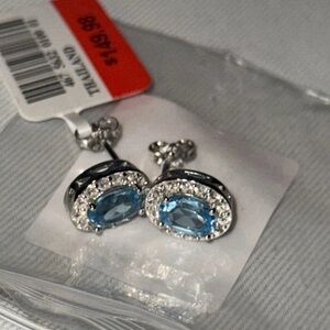 Elegant Silver and Blue Stud Earrings